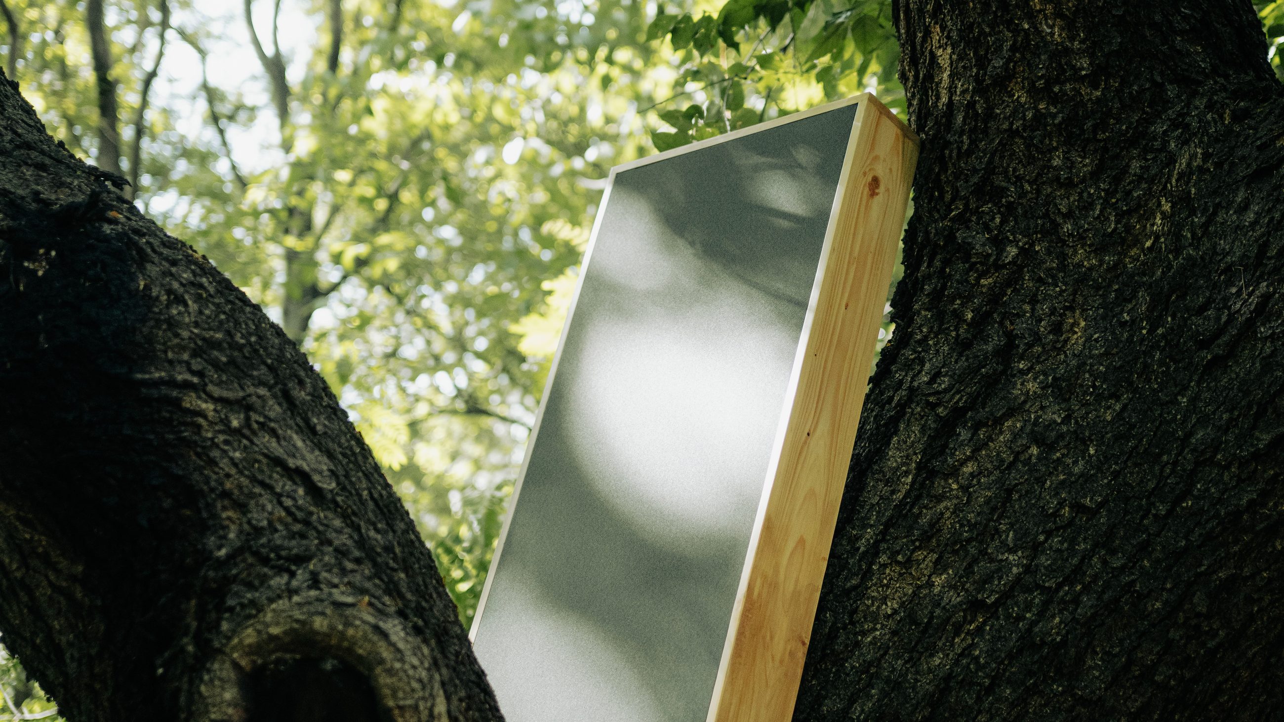 A TRU panel resting in the fork of a tree, canopy behind.
